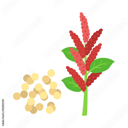 アマランサス（アマランス）。フラットなベクターイラスト。
Red amaranth. Flat vector illustration.
