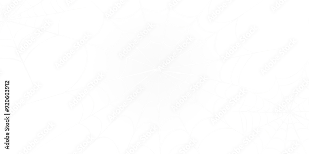 white halloween spiderweb isolated on white or transparent png white halloween spiderweb isolated on white or transparent png