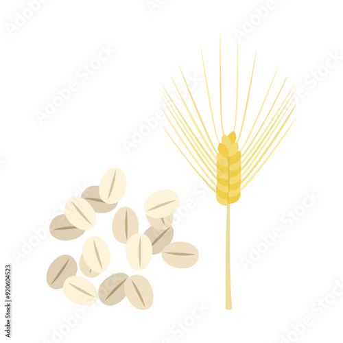 大麦。フラットなベクターイラスト。
Barley. Flat vector illustration.