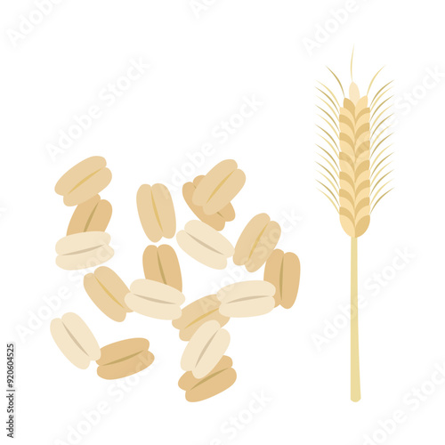 ライ麦。フラットなベクターイラスト。
Rye. Flat vector illustration.