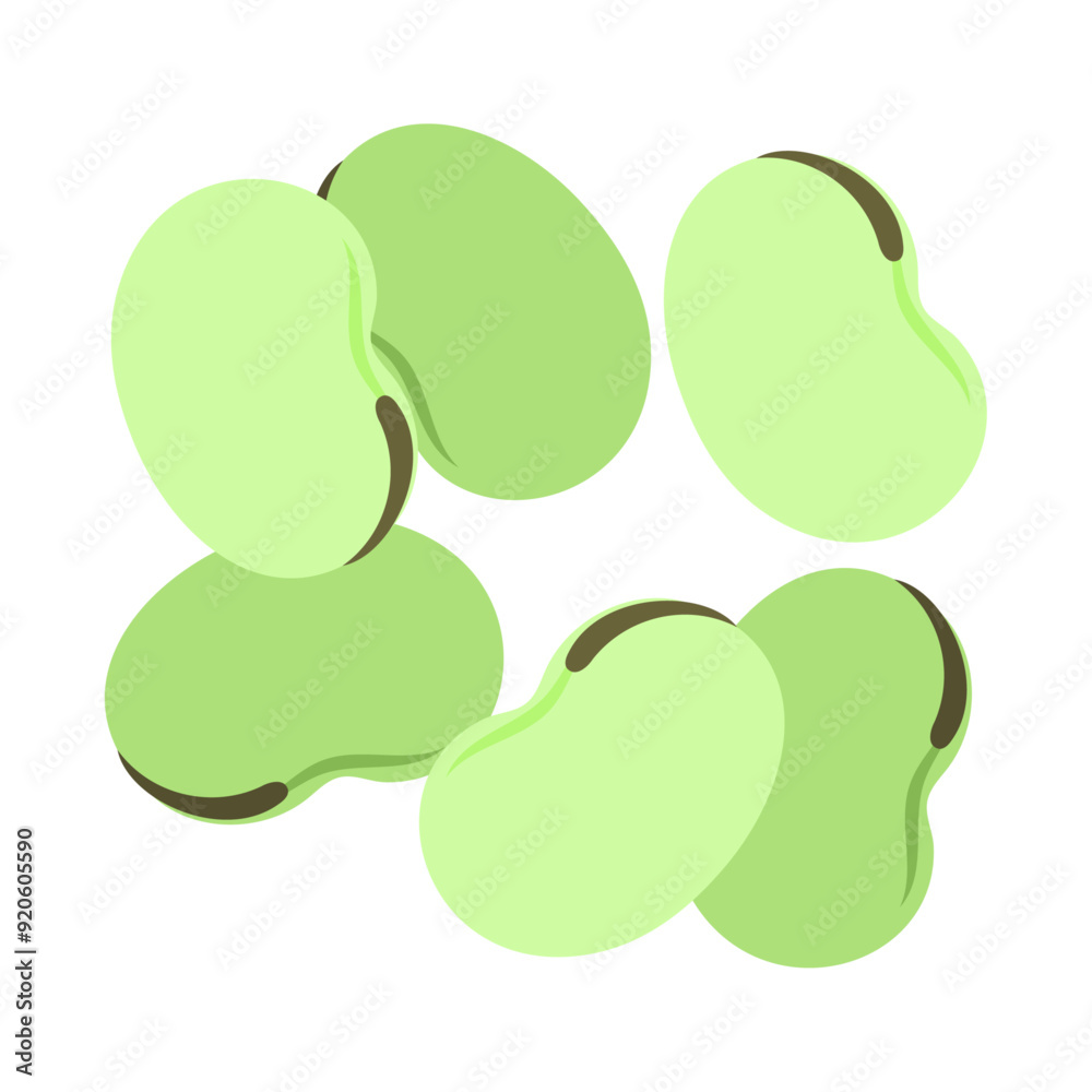 ソラ豆。フラットなベクターイラスト。
Broad beans (fava beans). Flat vector illustration. ソラ豆。フラットなベクターイラスト。
Broad beans (fava beans). Flat vector illustration.