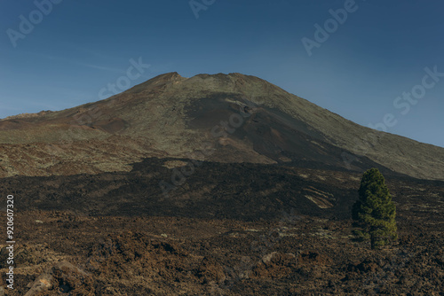 Route to reach the base of the Teide volcano. Tenerife Canary Islands Spain