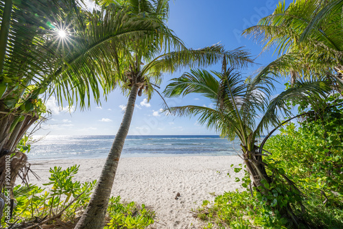 Fototapeta Naklejka Na Ścianę i Meble -  Palm trees on the beach, Guam, US Territory