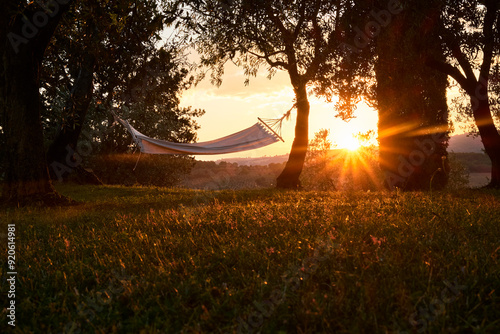 Amaca in giardino al tramonto.