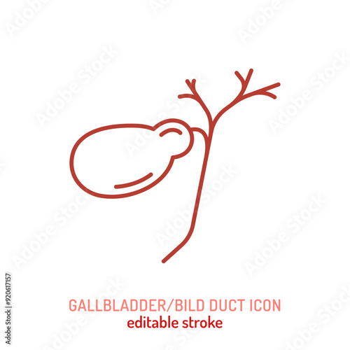 Bile duct  icon in outline style. Gallbladder linear pictogram.