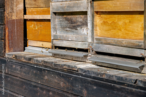 Wooden beehives for honey bees in summer