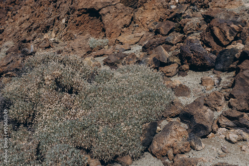 Panoramic view of the Teide volcano and . Tenerife Canary Islands Spain