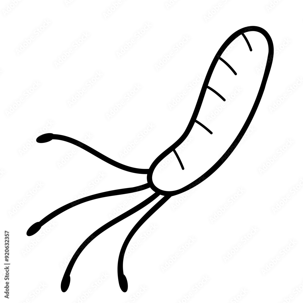 H. pylori bacteria Infection line icon. Helicobacter pylori line icon isolated on white background. Gastroenterology concept. Vector illustration H. pylori bacteria Infection line icon. Helicobacter pylori line icon isolated on white background. Gastroenterology concept. Vector illustration