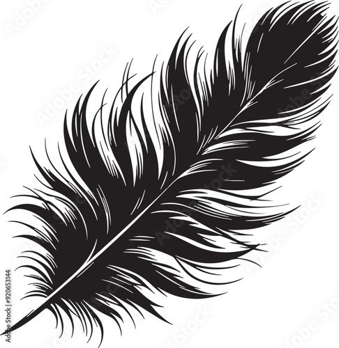 Feather of Bird Silhouette Vector Illustration