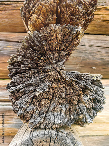 Old logs in section, corner of the hut, small plan