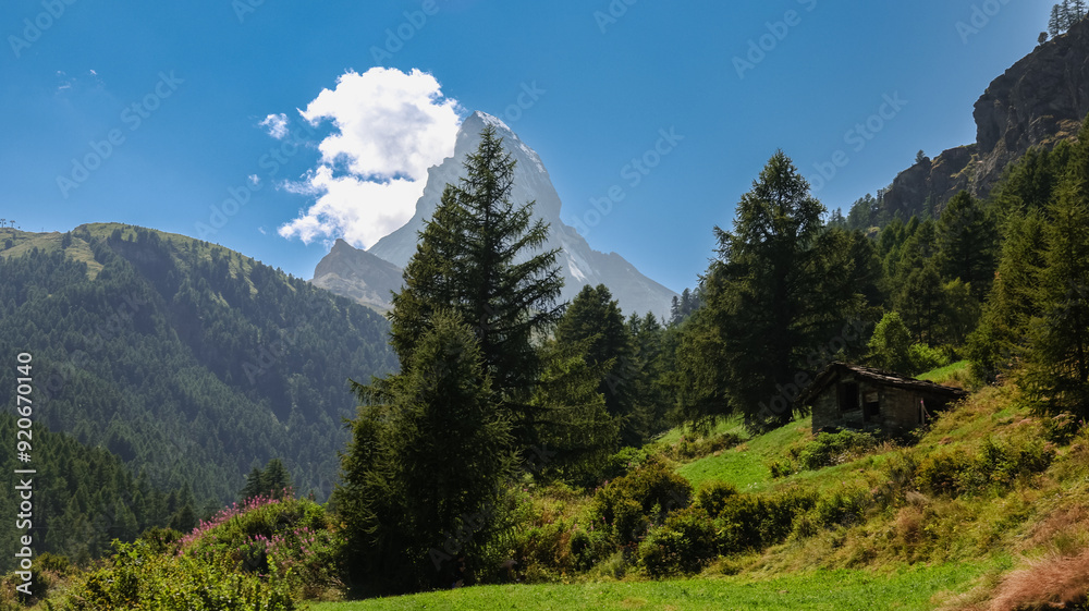 Naklejka premium Stunning view of Matterhorn Mountain amidst lush greenery near Zermatt, Switzerland on a sunny day
