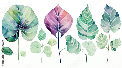Watercolor painting of plant leaves. Calming and aesthetically. Botanical abstract background.