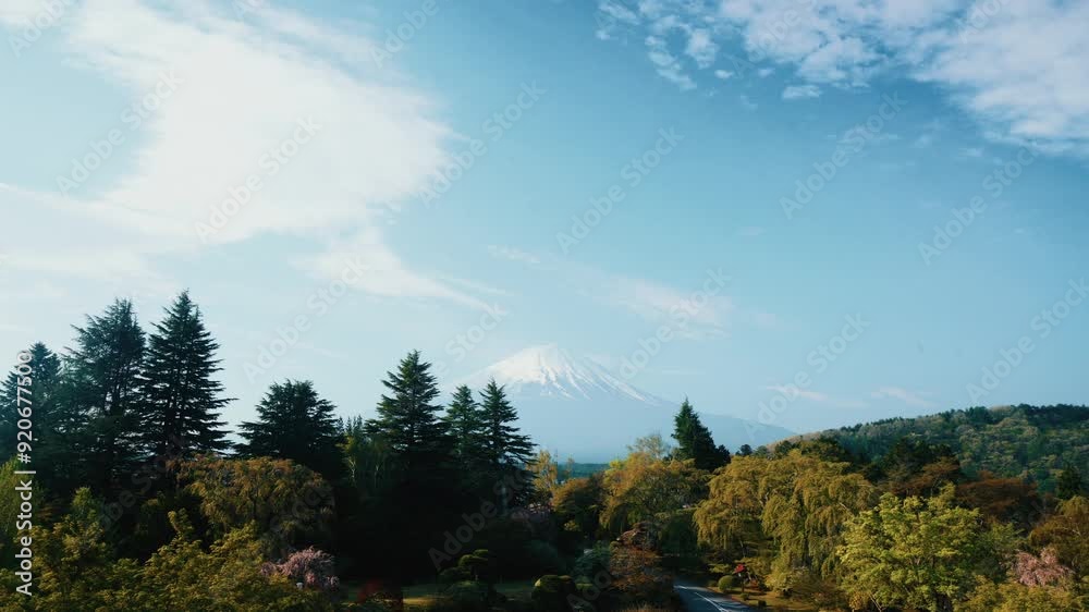 A mountain with snow on it is in the background of a clear blue sky. The trees are tall and green A mountain with snow on it is in the background of a clear blue sky. The trees are tall and green