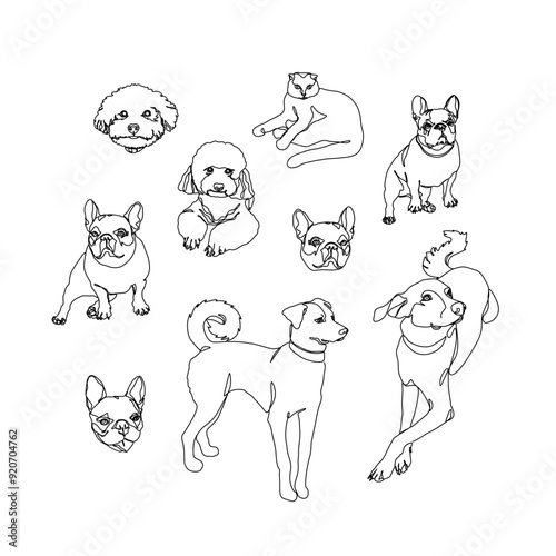 Cat and dog pet animals, continuous line drawing, pet small tattoo, print for clothes, silhouette one single line on white background, isolated vector illustration.