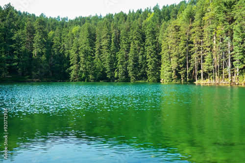 City is city that is surrounded by nature and has lot to offer for vacations. beautiful green outdoor concept. lake with dense dense forest in blue. a city is a dense dense forest with blue a lot of.