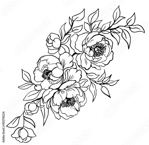 Children's Coloring Book With The Image Of A Peony Flower Nature In Vector