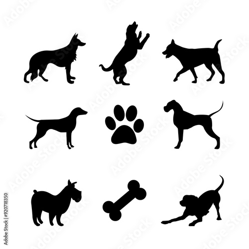 Dog vector silhouette on black colour photo