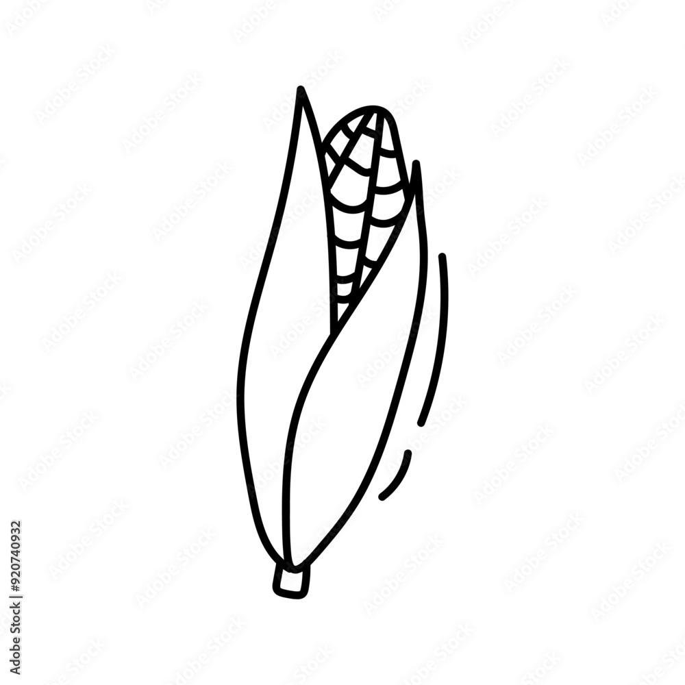 Corn. Vector illustration in doodle style