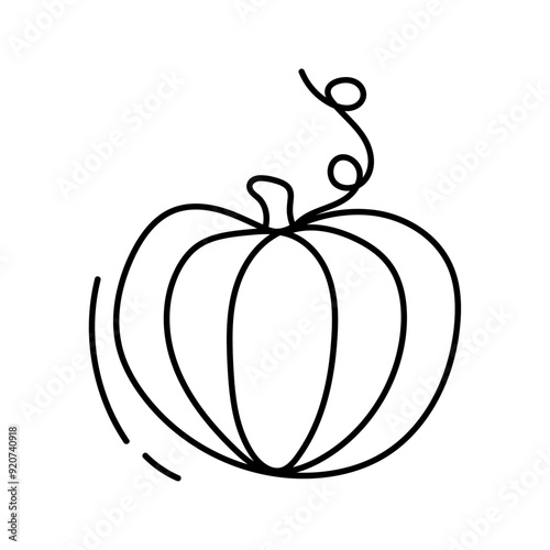 Pumpkin. Vector illustration in doodle style