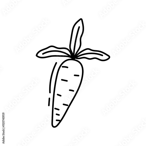 Carrot. Vector illustration in doodle style