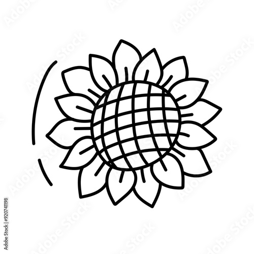 Sunflower. Vector illustration in doodle style