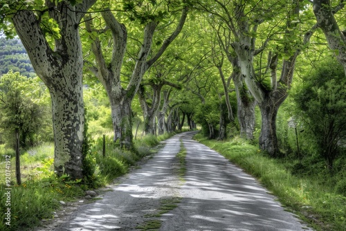 tree-lined street. Beautiful simple AI generated image in 4K, unique.