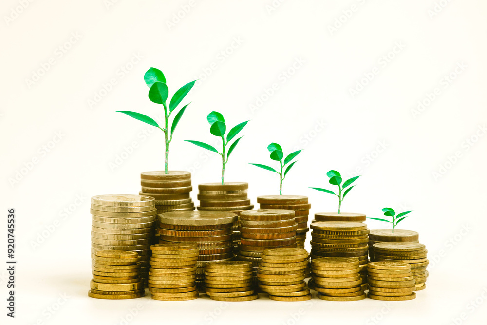 Saving money investment money growth graph with concept. Saving money for scholarships Tree growing on a row of coin Create a balance between saving and investing. Saving money investment money growth graph with concept. Saving money for scholarships Tree growing on a row of coin Create a balance between saving and investing.