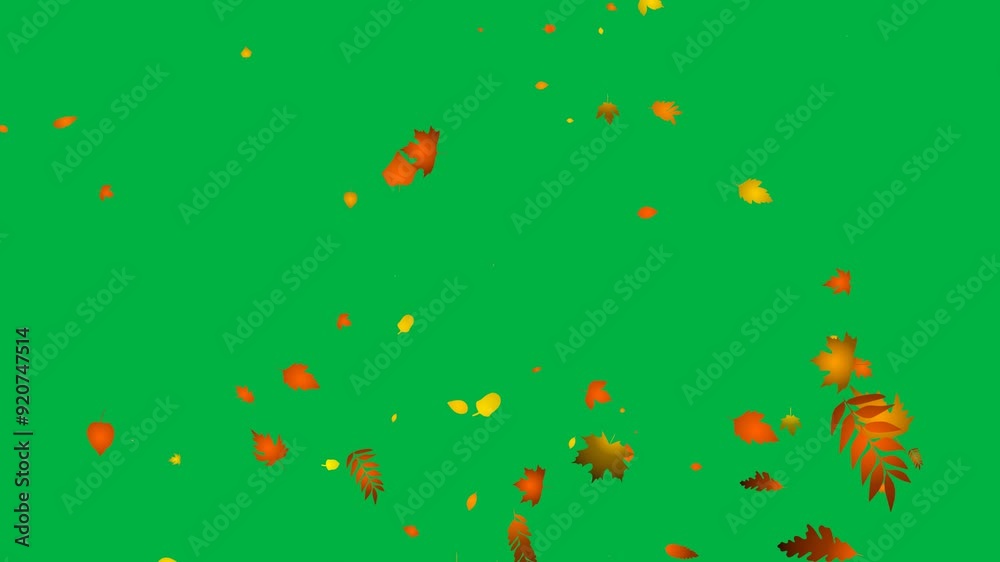 falling autumn leaves 4k with green screen background. perfect for your project presentation, provide beautiful environment falling autumn leaves 4k with green screen background. perfect for your project presentation, provide beautiful environment