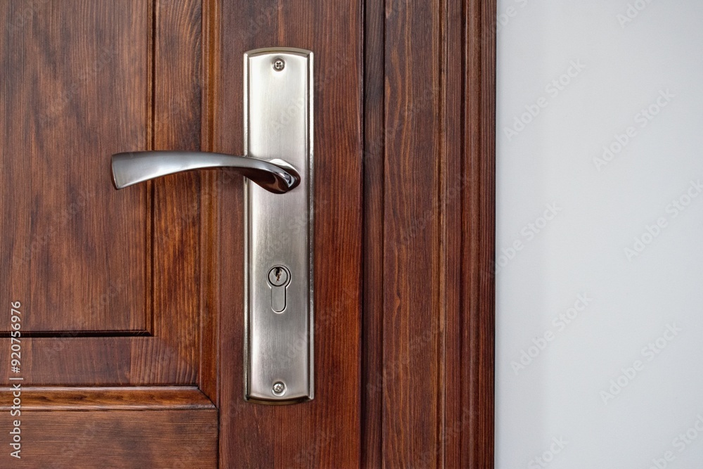 Wooden door in the modern cozy home interior Wooden door in the modern cozy home interior