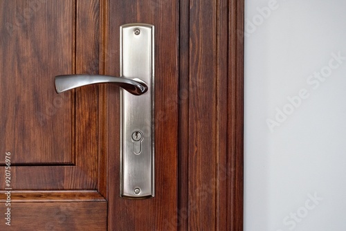 Wooden door in the modern cozy home interior