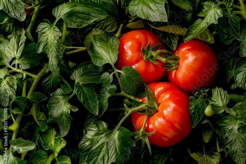 Healthy eating concept - outdoor picnic with fresh assorted vegetables on a table with classic Italian red checkered tablecloth. . Beautiful simple AI generated image in 4K, unique.