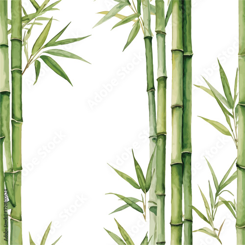 Clumping Bamboo Watercolor illustration. Hand drawn underwater element design. Artistic vector marine design element. Illustration for greeting cards, printing and other design projects.
