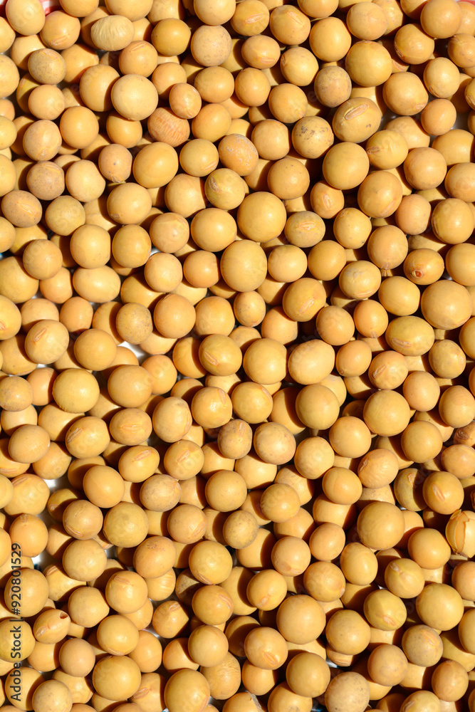 Detail of a surface covered with uncooked dry soybeans Detail of a surface covered with uncooked dry soybeans