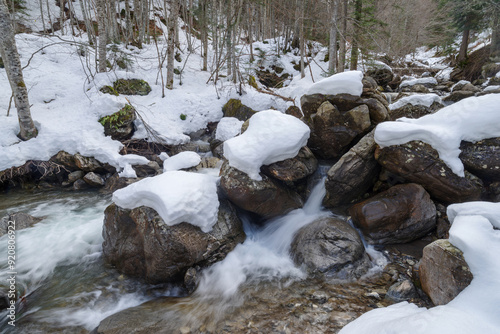 Flowing creek under the heavy snow photo