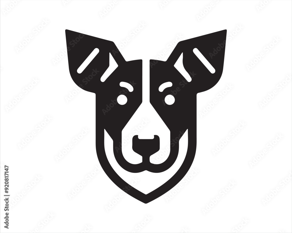 Fototapeta premium head of a dog