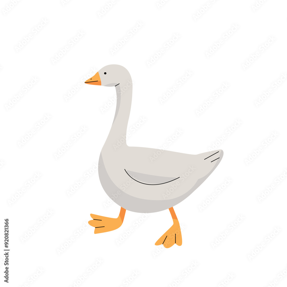 Cute gray goose, character on white background. Vector illustration Cute gray goose, character on white background. Vector illustration