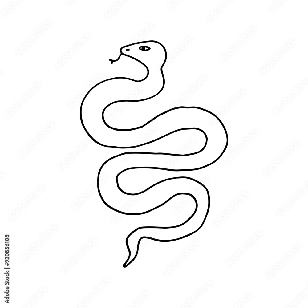 Naklejka premium Snake, poisonous, scaly. Reptile. Doodle. Vector illustration. Hand drawn. Outline.