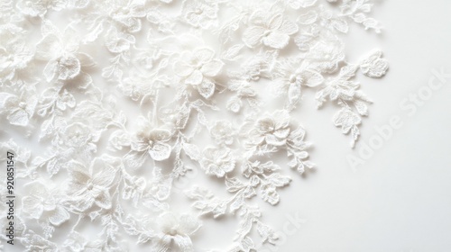 Background texture embroidered lace. Delicate 