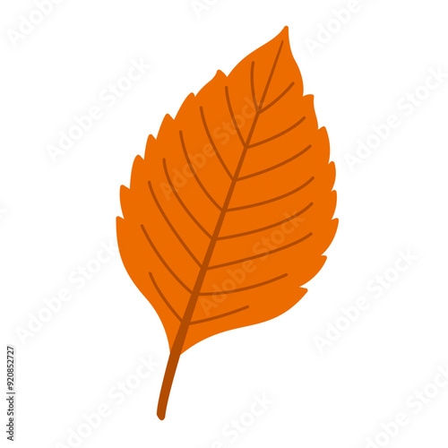 Autumn elm leaf. Hand drawn trendy flat style isolated. autumn leaf, golden season. Vector illustration
