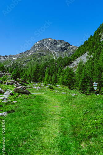 The landscape of the Alpe Lendine and the Val chiavenna, a valley of the Italian alps, near the town of Chiavenna, Italy - June 2024 photo