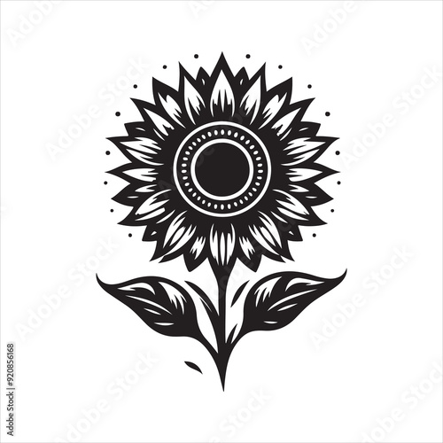 Sunflower Illustration