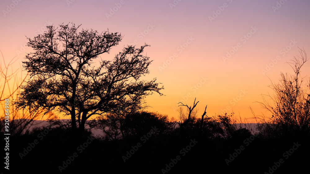 African, Sunset near Lower-Sabie in the Kruger National Park, Mpumalanga, South Africa African, Sunset near Lower-Sabie in the Kruger National Park, Mpumalanga, South Africa