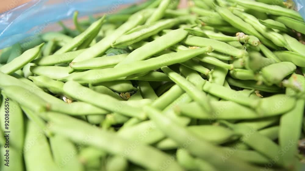 green ripe green beans in a bag green ripe green beans in a bag