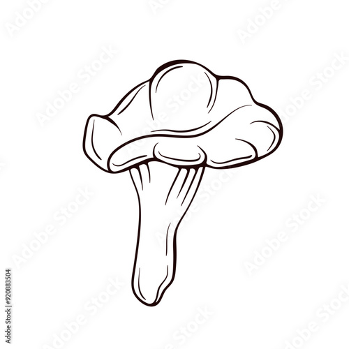 A beautifully detailed illustration showcasing the remarkable Chanterelle Mushroom. Hand drawn food design for vegetable store. Vector illustration isolated on a white background.