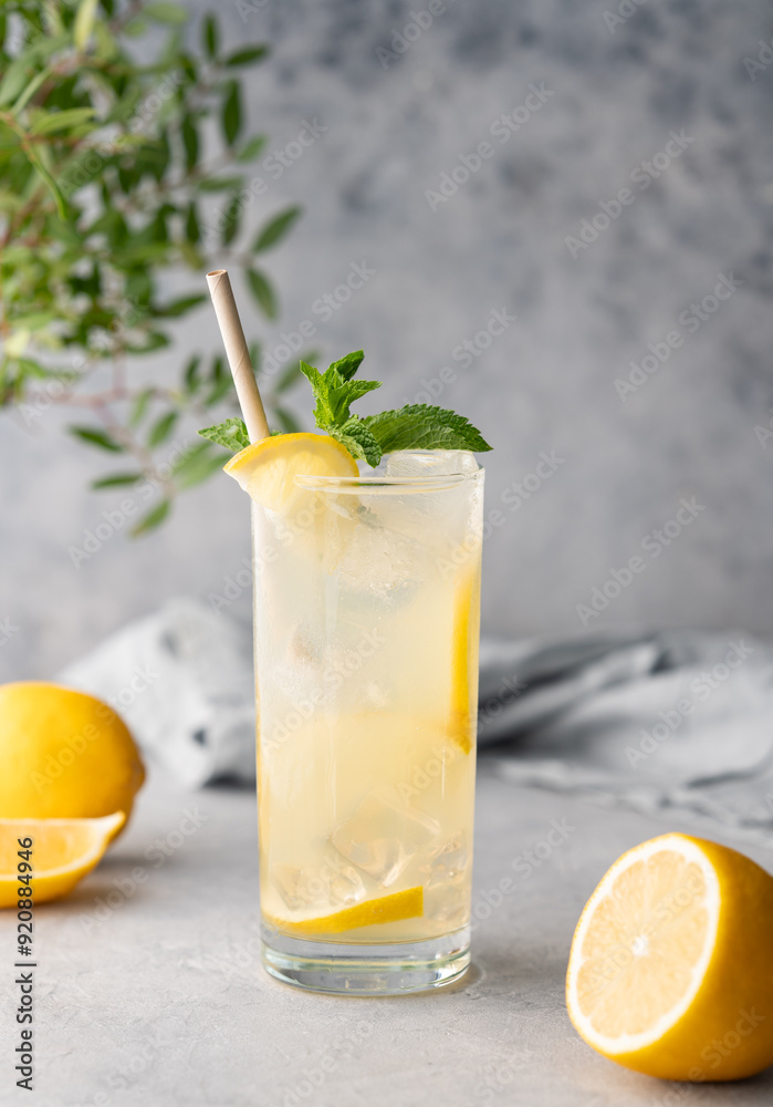 Fototapeta premium Freshness mojito drink with lemon, mint and ice. Citrus lemonade on a blue background with napkin and fruits.