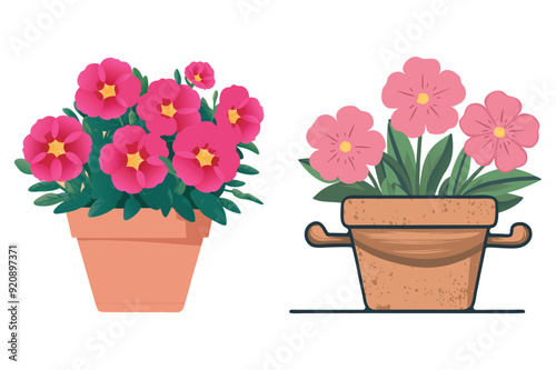 Colorful Potted Flowers in Bloom – Vibrant Plant Illustrations with Terracotta Pots.