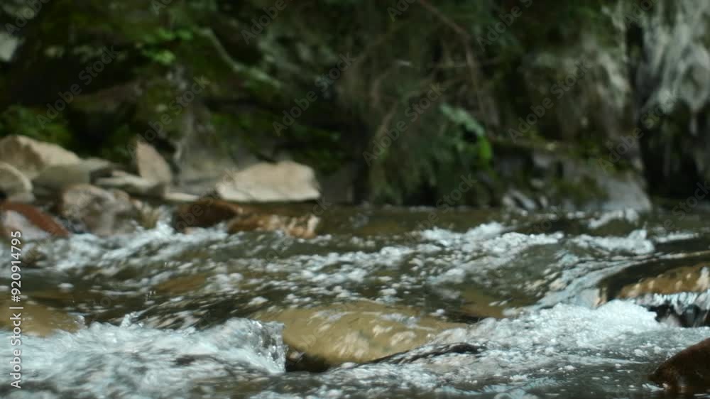 Close up of water in natural stream in national park, protected natural area or reserve. Powerful mountain water stream or river runs down hill in late summer at calm sunny day. Nature composition Close up of water in natural stream in national park, protected natural area or reserve. Powerful mountain water stream or river runs down hill in late summer at calm sunny day. Nature composition