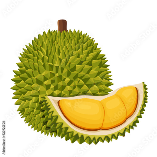 durian isolated on white background