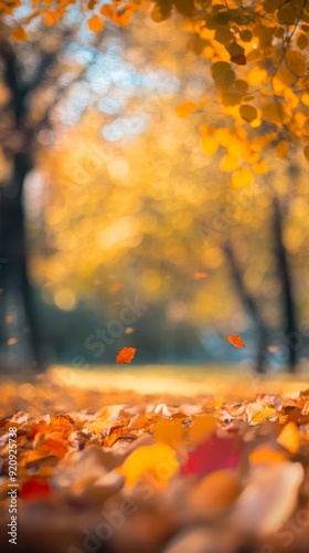 Bokeh effect defocused view of the colorful leaves in the autumn park. Fall forest background