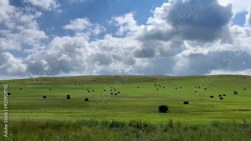 car driving view through side window to yellow autumn agricultural fields. Road trip and travel concept. 